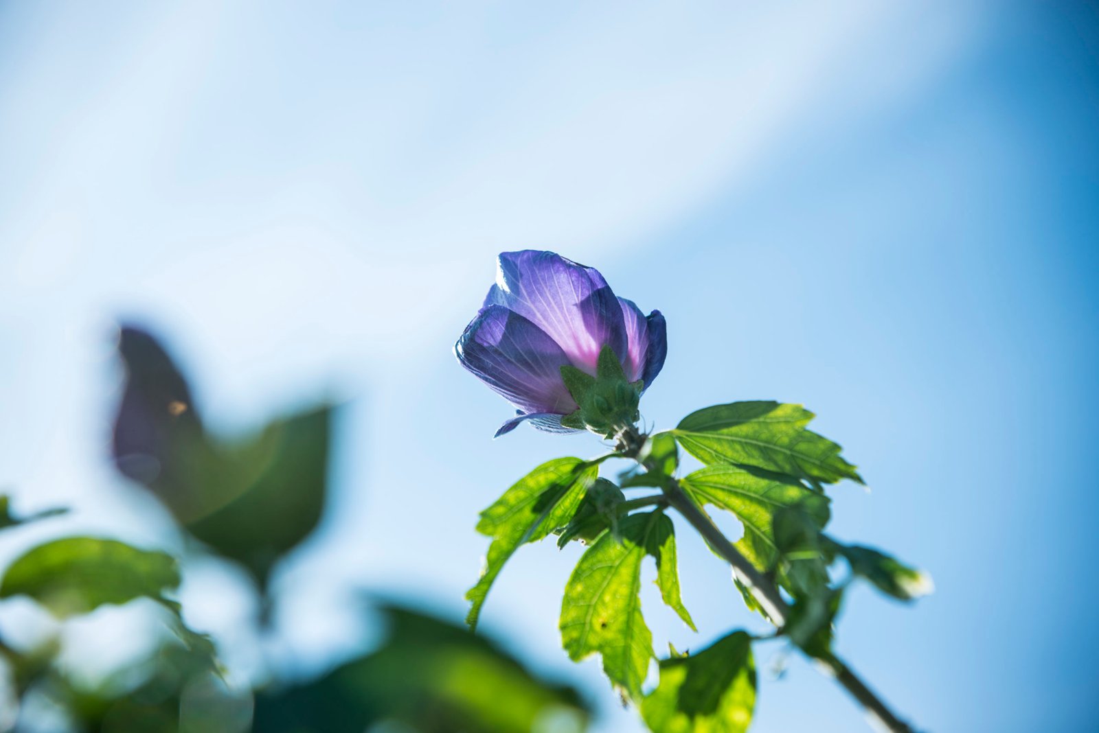 Foto: Lise Ramsland Sparre