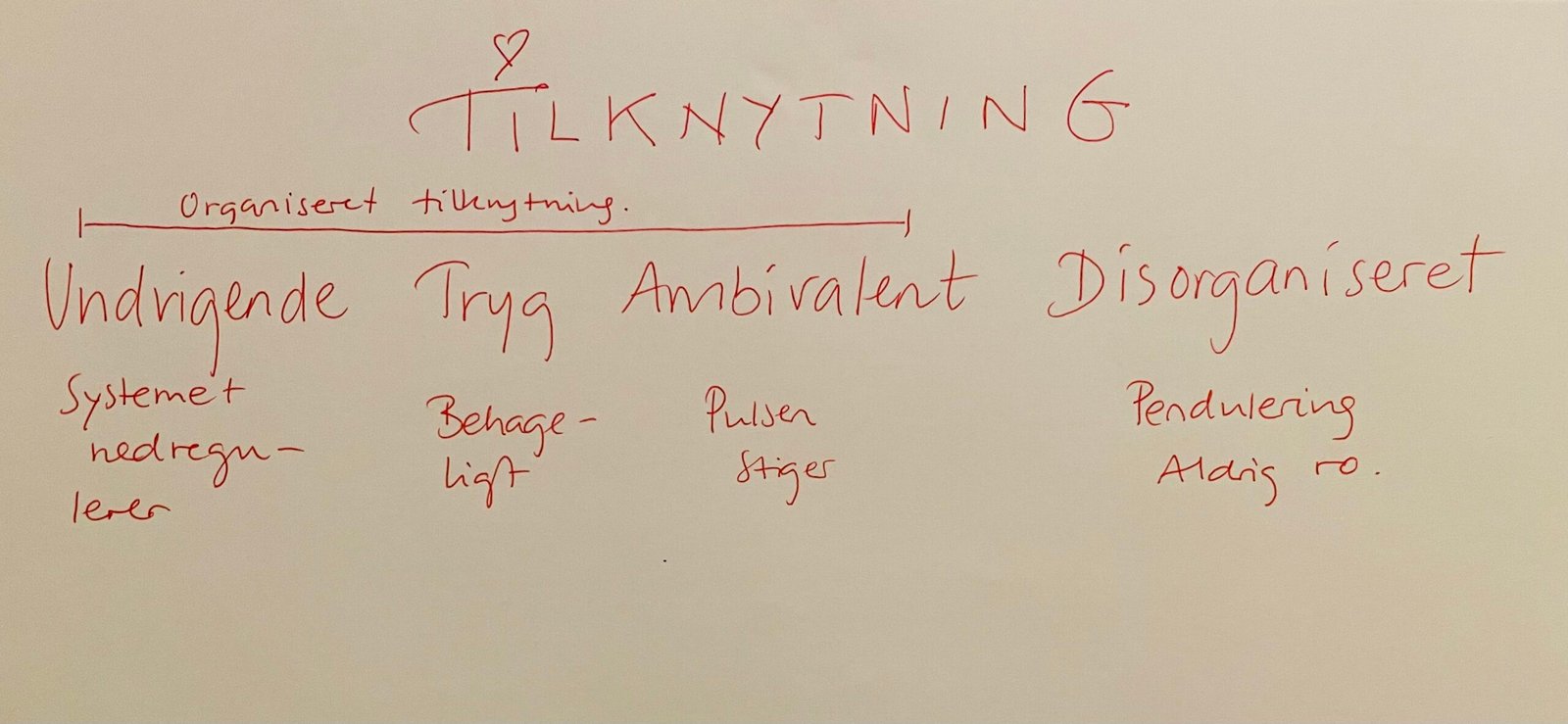 Tryg, ambivalent, undvigende eller disorganiseret